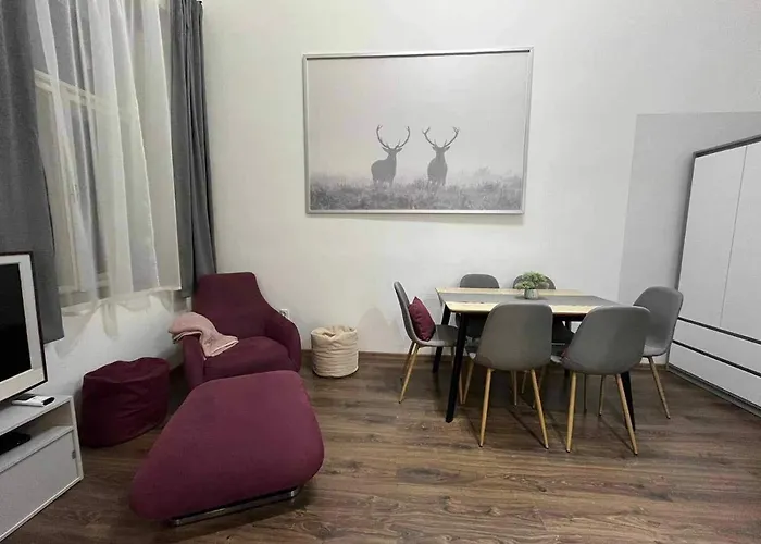 Gallery Szondi