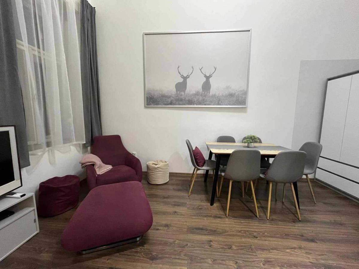 Gallery Szondi *