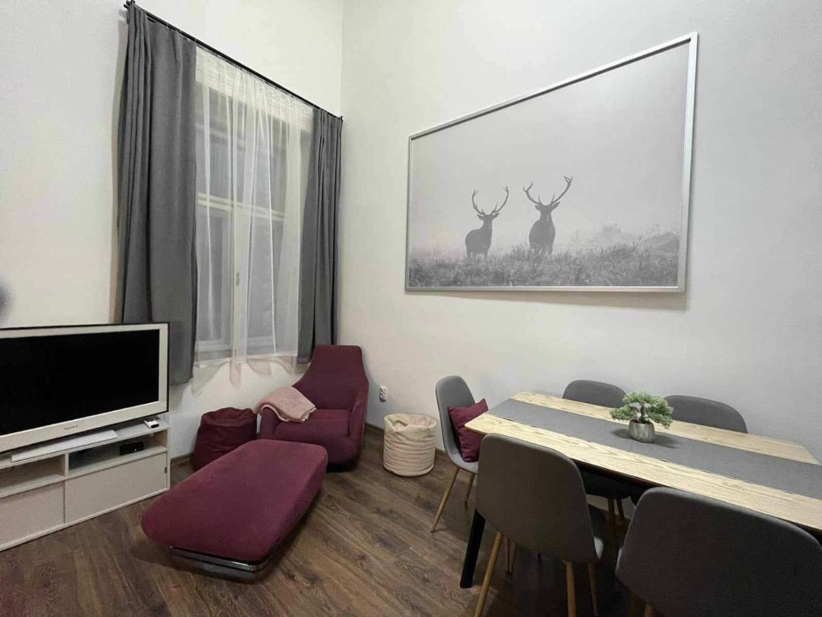 Apartman Gallery Szondi *